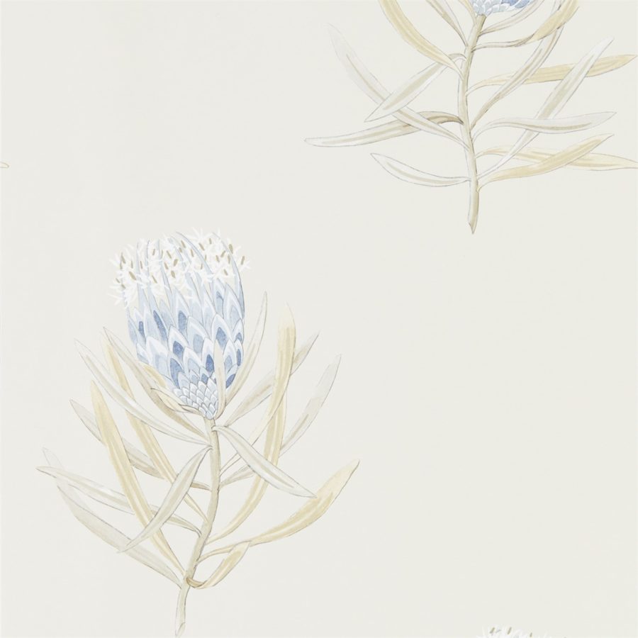 Sanderson tapet Protea Flower China Blue Canvas