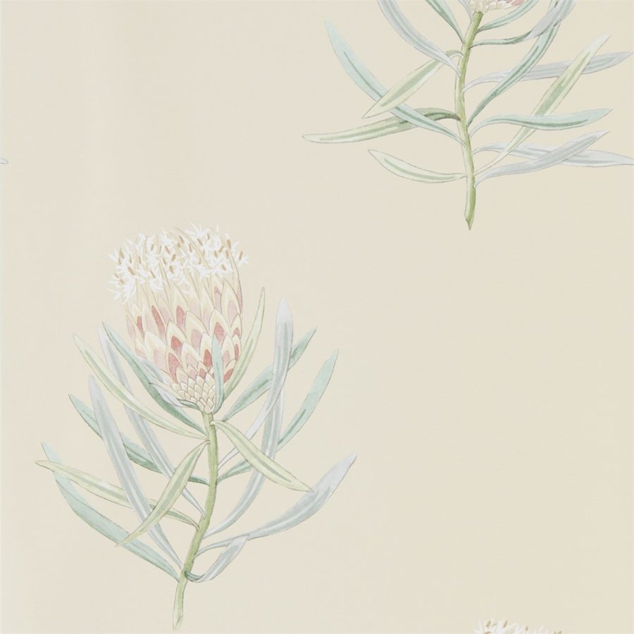 Sanderson tapet Protea Flower Russet/Green