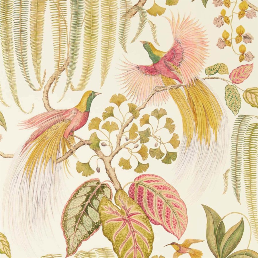 Sanderson Tapet Bird of Paradise Olive