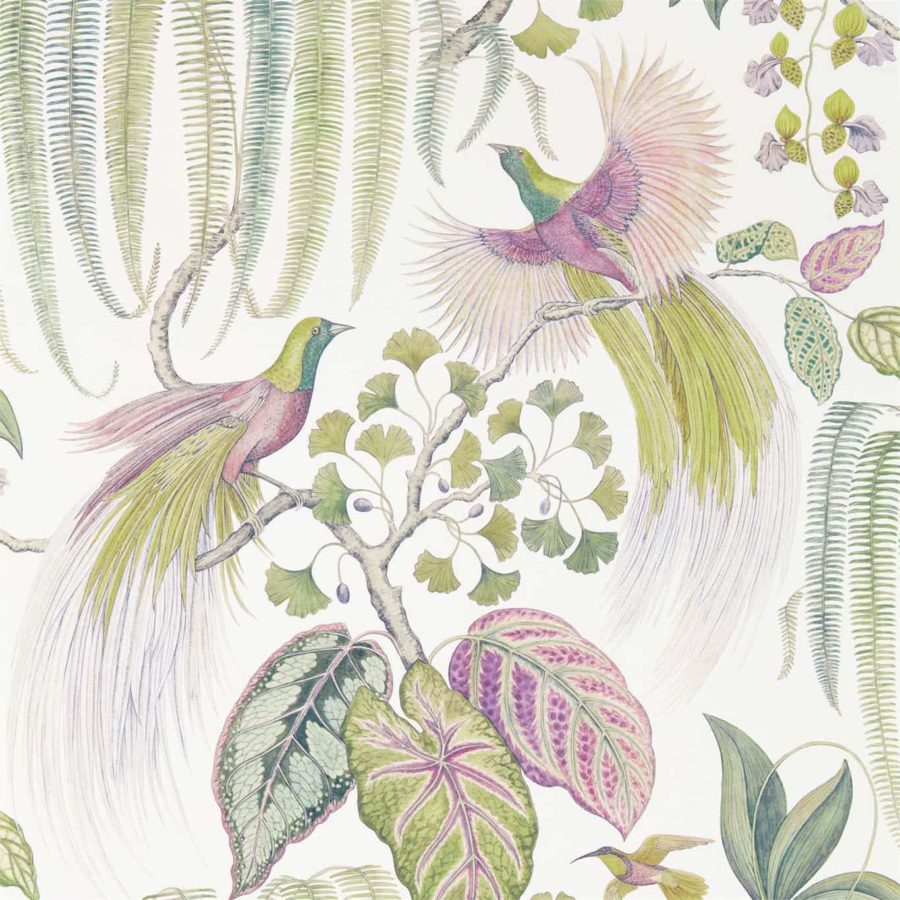Sanderson Tapet Bird of Paradise Orchid